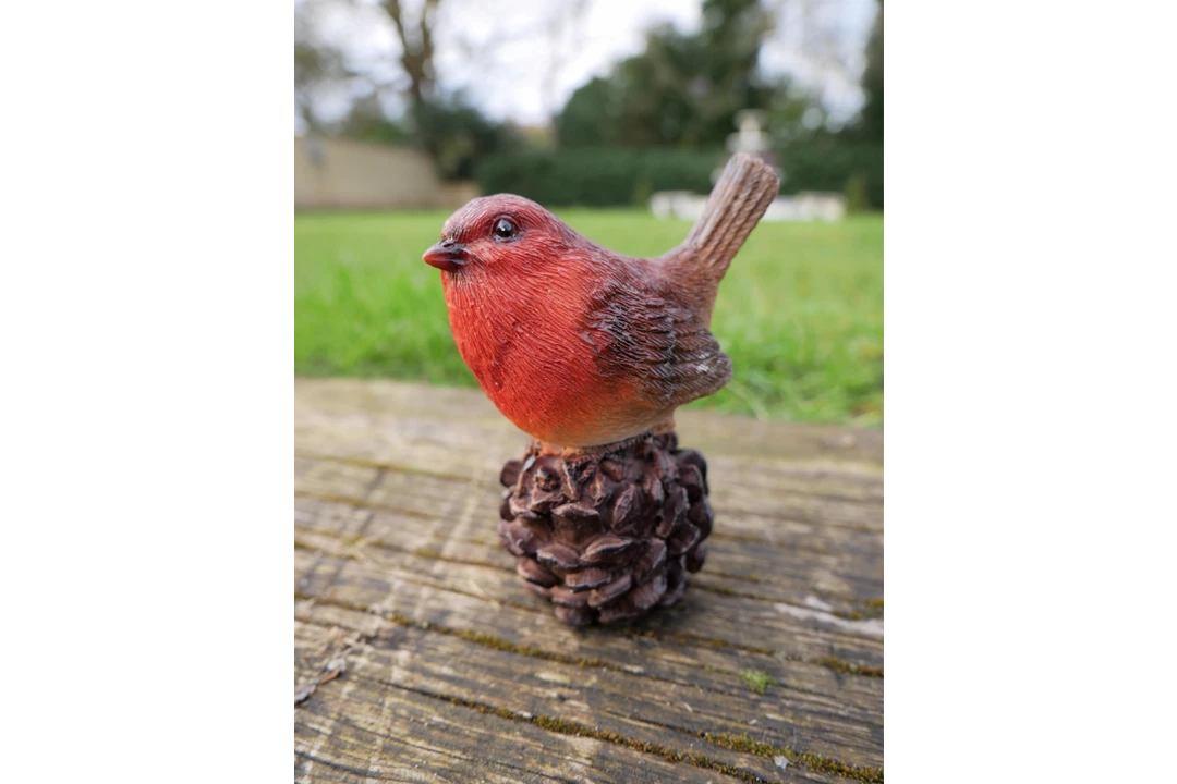 Dutch Brothers Robin On Pinecone 3 Dutch Brothers Robin On Pinecone