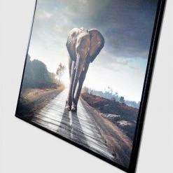 Giftworks Elephant Framed Art Print (Elephant Path)