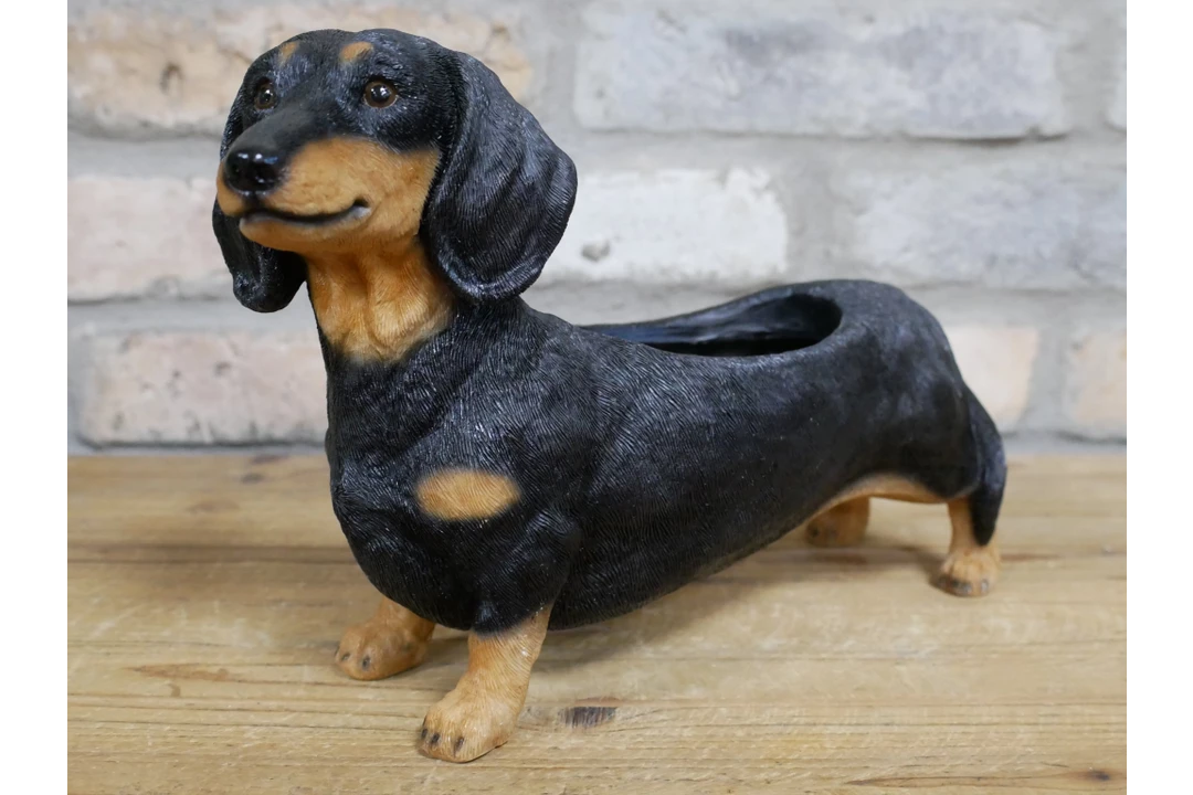 Dutch Brothers GENERAL GIFTS Dachshund Planter 9 Dutch Brothers GENERAL GIFTS Dachshund Planter