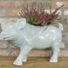 Dutch Brothers Pig Planter (Pre Order For Early July)