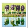 Kirkwood GENERAL GIFTS THE GRAND COLLECTION COW CANVAS 80X80CM 1 Kirkwood GENERAL GIFTS THE GRAND COLLECTION COW CANVAS 80X80CM