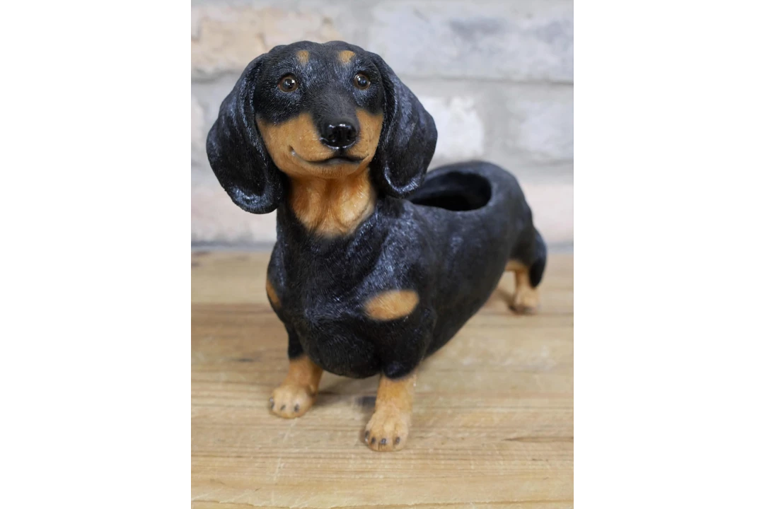 Dutch Brothers GENERAL GIFTS Dachshund Planter 4 Dutch Brothers GENERAL GIFTS Dachshund Planter