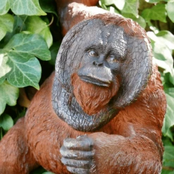 Giftworks Orangutang Wall Garden Decoration
