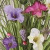 Straits Grass Floral Bundle Pink And Purple Morning Glory 70cm