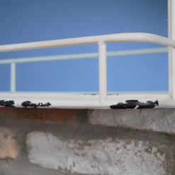 Giftworks Cream Mirror With Shelf GENERAL GIFTS 9 Giftworks Cream Mirror With Shelf GENERAL GIFTS