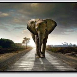 Giftworks Elephant Framed Art Print (Elephant Path)