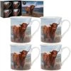 Lesser And Pavey Highland Cow Mug Set Of 4
