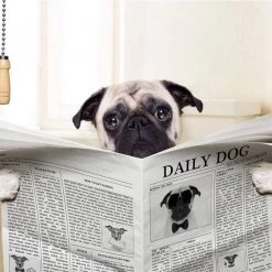 Giftworks Daily Dog Wall Art