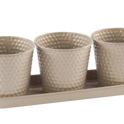 Giftworks EMBOSSED PLANT 3 HERB POTS TRAY
