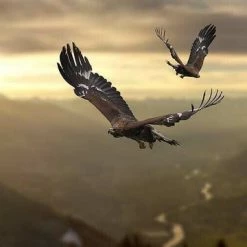 Giftworks GIFTS FOR HIM Wall Art Prints Deko-Panel Eagle