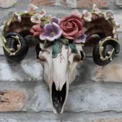 Dutch Brothers Skull Wall Decoration