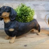 Dutch Brothers GENERAL GIFTS Dachshund Planter 2 Dutch Brothers GENERAL GIFTS Dachshund Planter