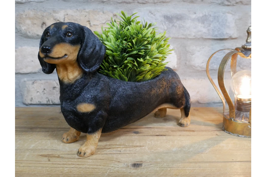Dutch Brothers GENERAL GIFTS Dachshund Planter 3 Dutch Brothers GENERAL GIFTS Dachshund Planter