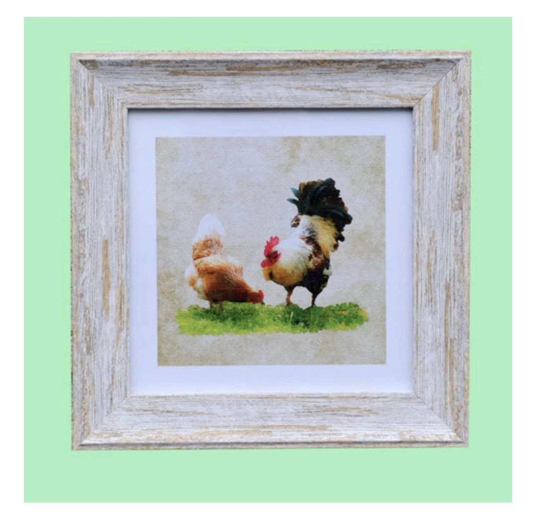 Giftworks GENERAL GIFTS Irish Handmade Gifts - Chicken 9x9 Framed Print 4 Giftworks GENERAL GIFTS Irish Handmade Gifts - Chicken 9x9 Framed Print