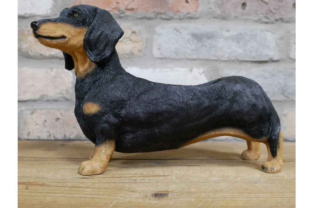 Dutch Brothers GENERAL GIFTS Dachshund Planter 10 Dutch Brothers GENERAL GIFTS Dachshund Planter