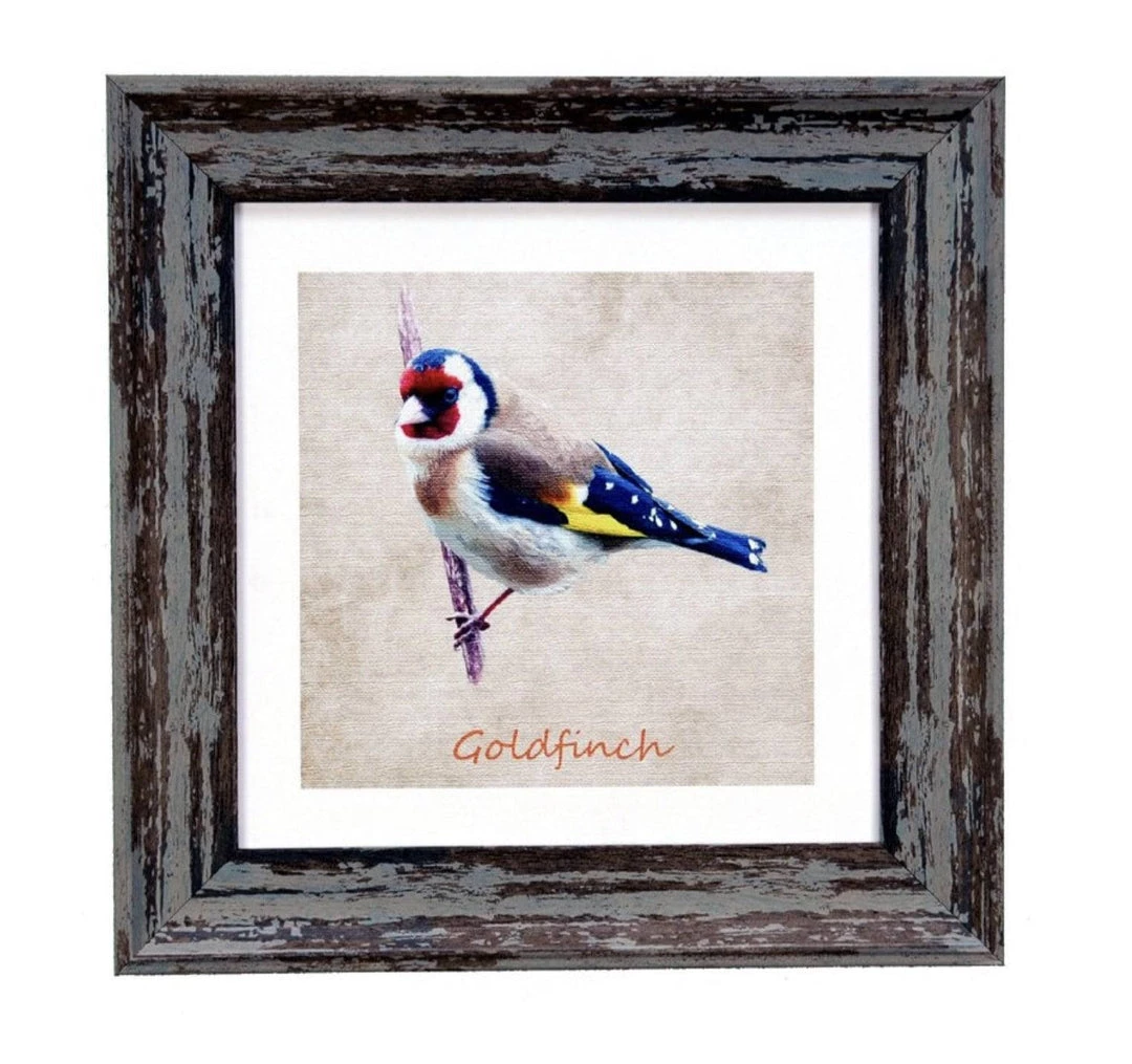 Giftworks GENERAL GIFTS Irish Gifts Gold Finch 9x9 Framed Print 3 Giftworks GENERAL GIFTS Irish Gifts Gold Finch 9x9 Framed Print