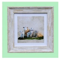 Giftworks Sheep And Lambs 9x9 Framed Print
