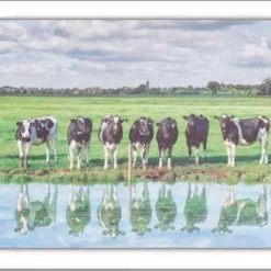 Kirkwood GENERAL GIFTS THE GRAND COLLECTION COW CANVAS 150X60CM