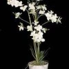 Enchante White Potted Orchid 80cm