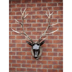 Giftworks GENERAL GIFTS STAG HEAD (LARGE)