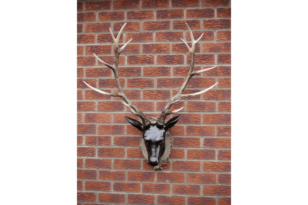 Giftworks GENERAL GIFTS STAG HEAD (LARGE) 4 Giftworks GENERAL GIFTS STAG HEAD (LARGE)