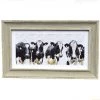 Giftworks Irish Gifts Cow Panorama Framed Print 2 Giftworks Irish Gifts Cow Panorama Framed Print