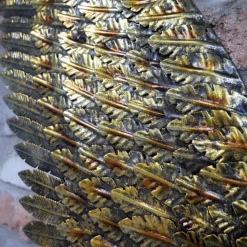 Giftworks Gold Angel Wings GENERAL GIFTS