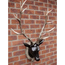 Giftworks GENERAL GIFTS STAG HEAD (LARGE) 15 Giftworks GENERAL GIFTS STAG HEAD (LARGE)