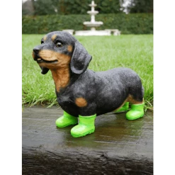 Dutch Brothers Dachshund Puppy