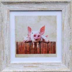 Giftworks Pig 9x9 Framed Print