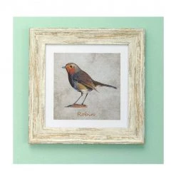 Giftworks Robin Print Framed 9 X 9 Inches GENERAL GIFTS