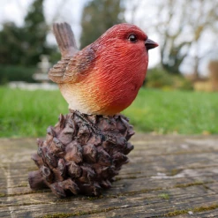 Dutch Brothers Robin On Pinecone 9 Dutch Brothers Robin On Pinecone