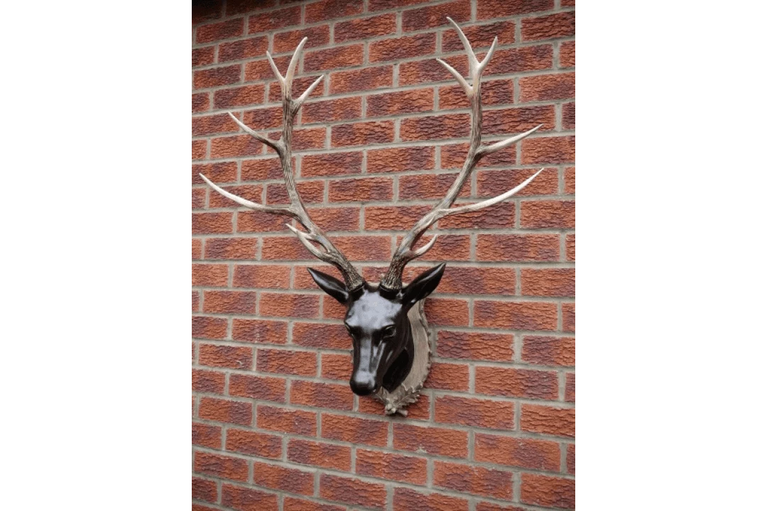 Giftworks GENERAL GIFTS STAG HEAD (LARGE) 6 Giftworks GENERAL GIFTS STAG HEAD (LARGE)