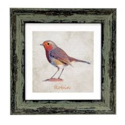 Giftworks Robin Print Framed 9 X 9 Inches GENERAL GIFTS