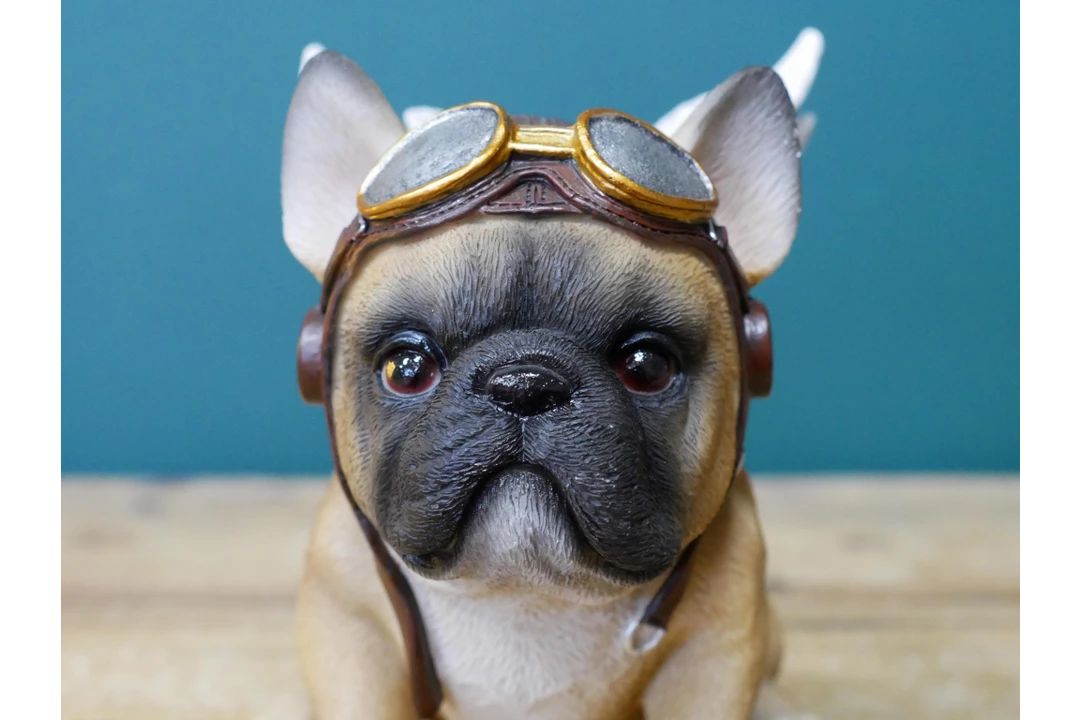 Giftworks Flying Bulldog 7 Giftworks Flying Bulldog