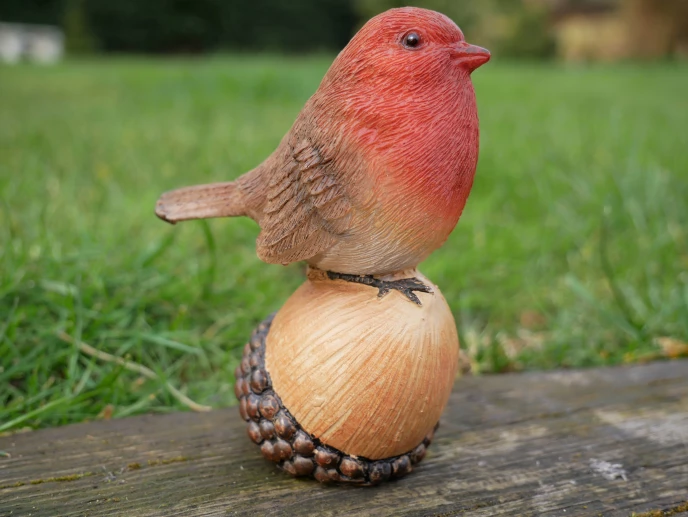 Dutch Brothers Robin On Acorn 4 Dutch Brothers Robin On Acorn