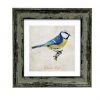Giftworks Irish Handmade Gifts Blue Tit 9x9 Framed Print