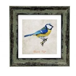 Giftworks Irish Handmade Gifts Blue Tit 9x9 Framed Print