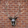 Giftworks GENERAL GIFTS STAG HEAD (LARGE)