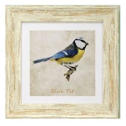 Giftworks GENERAL GIFTS Irish Gifts Gold Finch 9x9 Framed Print