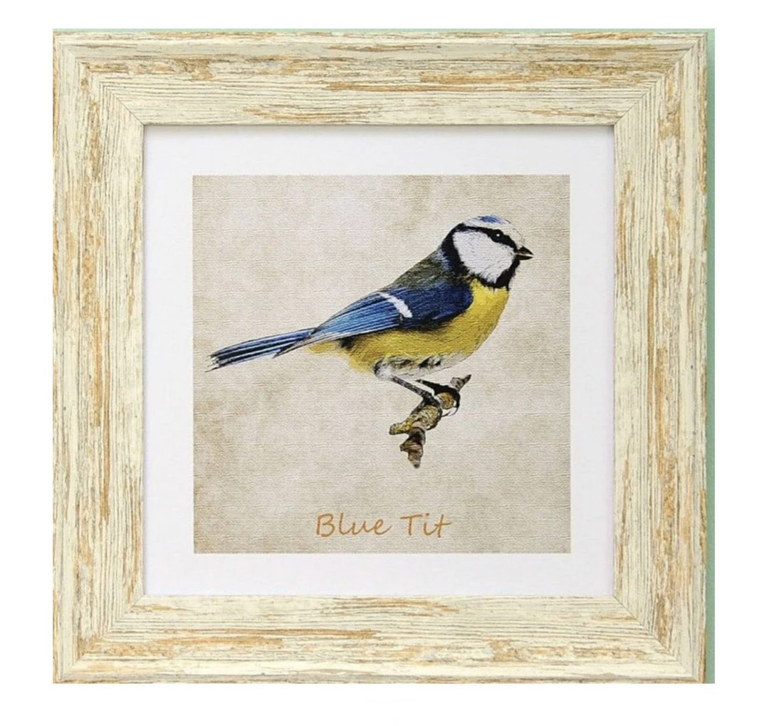 Giftworks GENERAL GIFTS Irish Gifts Gold Finch 9x9 Framed Print 4 Giftworks GENERAL GIFTS Irish Gifts Gold Finch 9x9 Framed Print