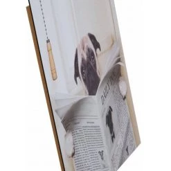 Giftworks Daily Dog Wall Art