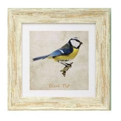 Giftworks Irish Handmade Gifts Blue Tit 9x9 Framed Print