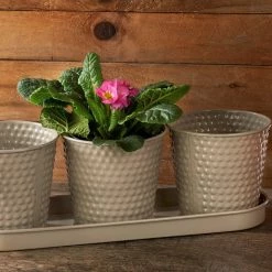 Giftworks EMBOSSED PLANT 3 HERB POTS TRAY