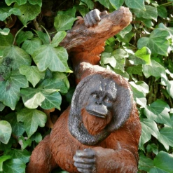 Giftworks Orangutang Wall Garden Decoration