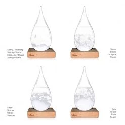 Mikamax STORM GLASS – GLOBE GENERAL GIFTS 7 Mikamax STORM GLASS – GLOBE GENERAL GIFTS