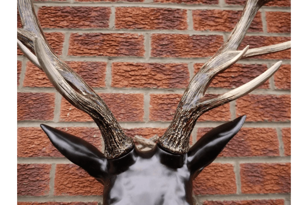Giftworks GENERAL GIFTS STAG HEAD (LARGE) 7 Giftworks GENERAL GIFTS STAG HEAD (LARGE)