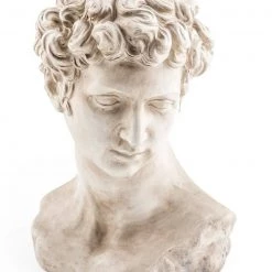 Giftworks Stone Effect David Bust Flower Pot GENERAL GIFTS