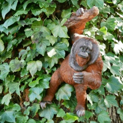 Giftworks Orangutang Wall Garden Decoration