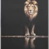 Spiegel Profi Lion Canvas Art Framed Taira Lion Picture